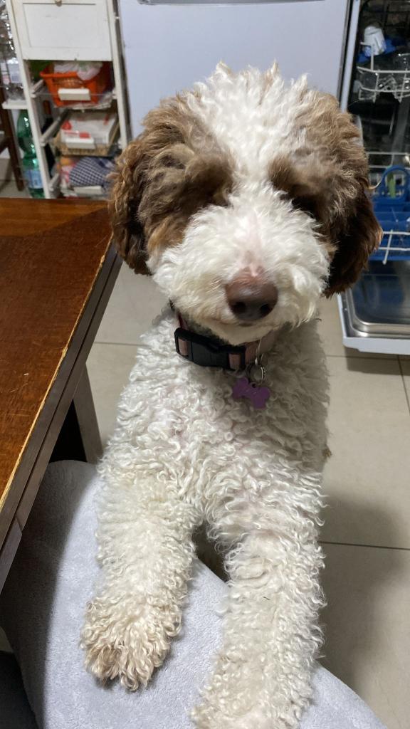 Ritratto di verdevalle